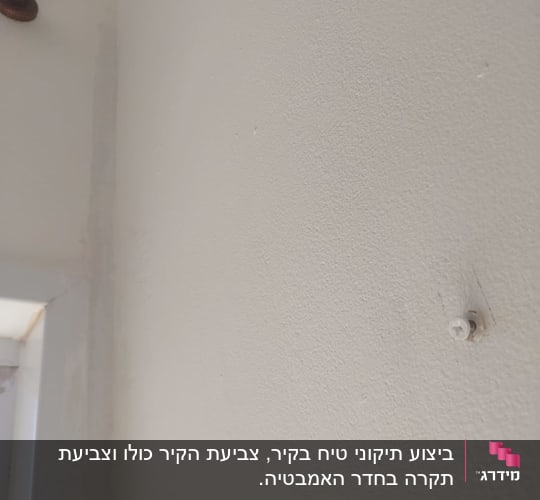 קיר עם בורג קטן, מתאים לצביעה